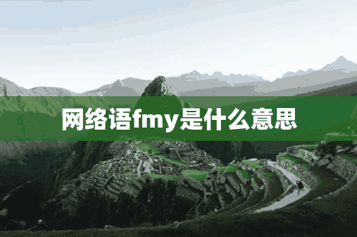 网络语fmy是什么意思(网络用语fm什么意思)